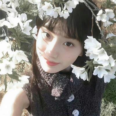 学校万花筒
